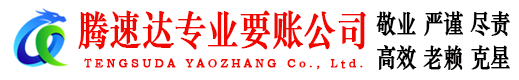 金平追债公司